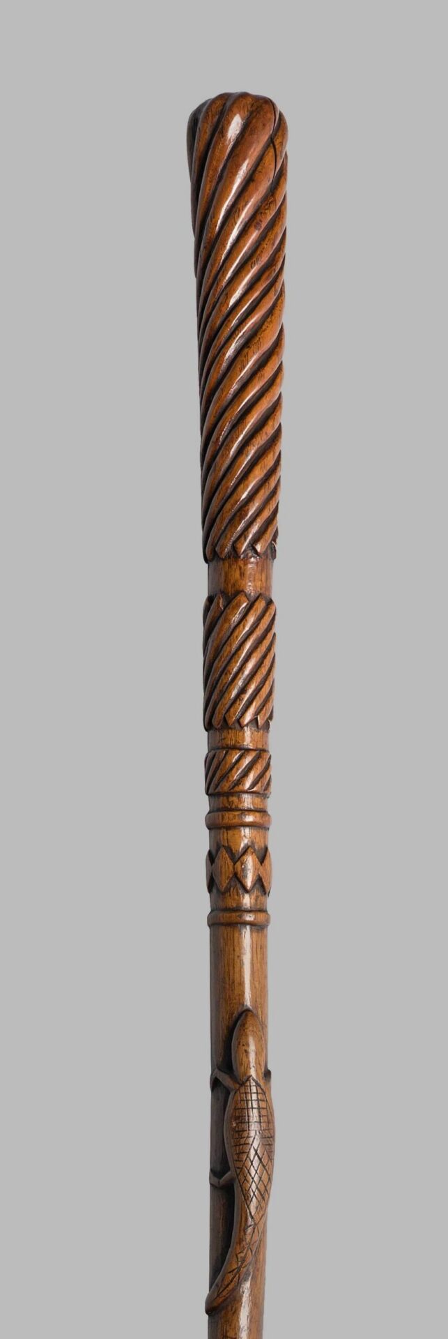Walking Stick by Henry Gudgell