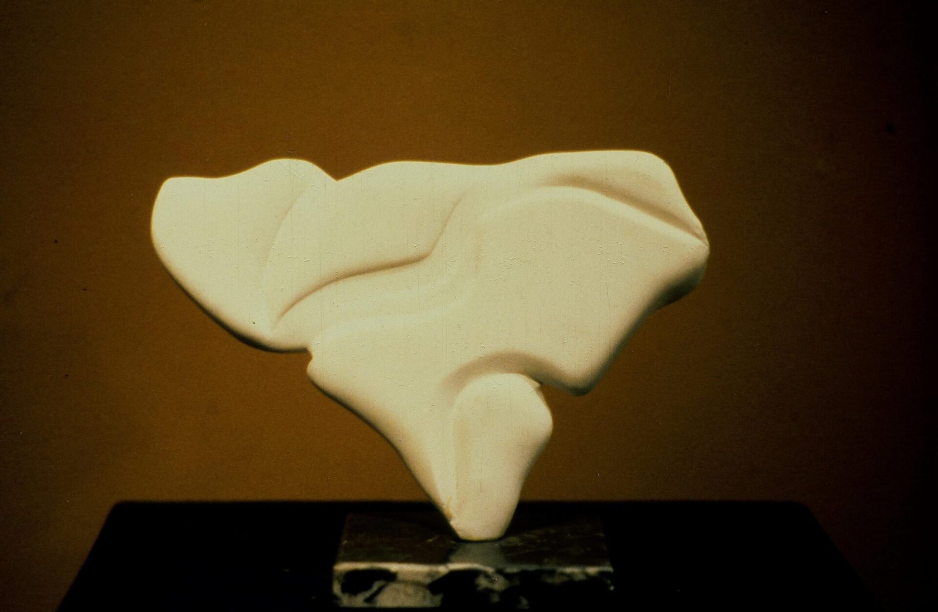 Spread Your Wings.WMDuffy.1980 scaled